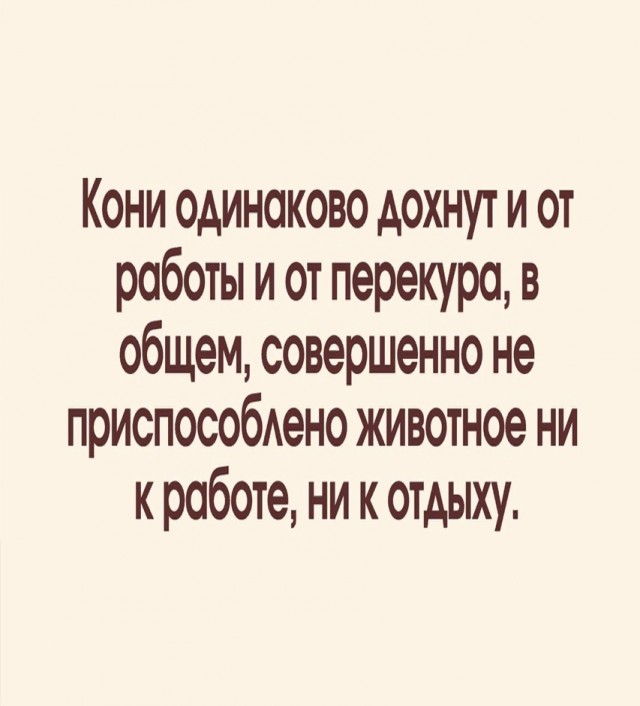 Картинки для деградации 33 (разной степени свежести)
