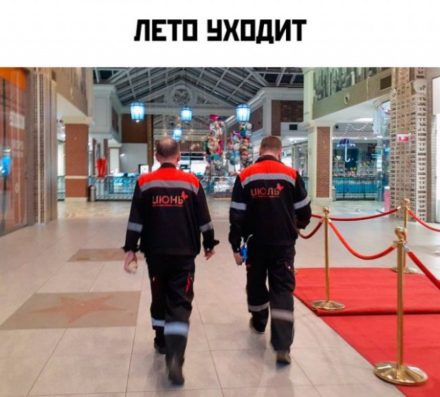 Веселые картинки в маленькую пятницу (10.09)