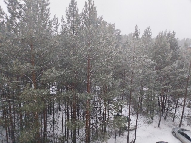 Осень вечно права!