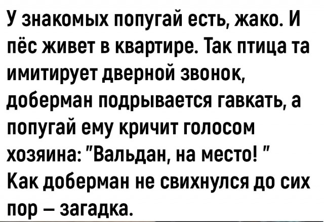 Так себе картинки 10.11.25