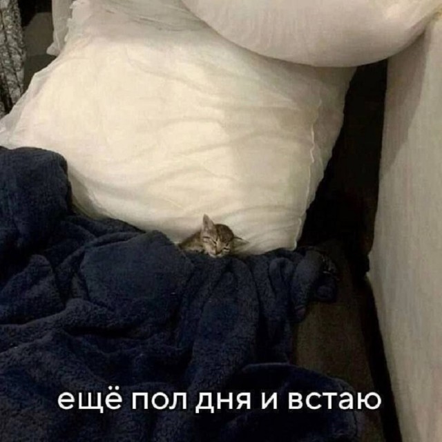 Так себе картинки 22.11.25