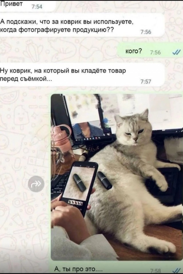 Понедельника картинки