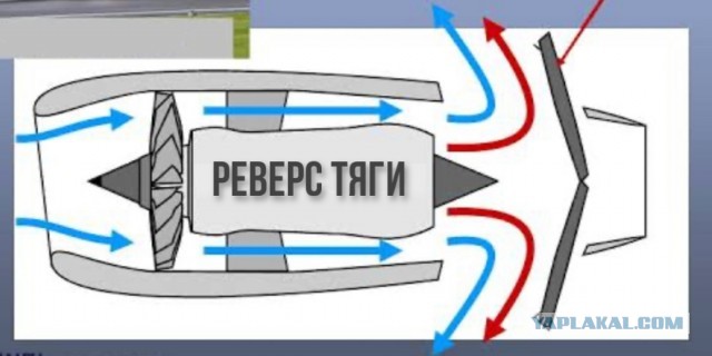 Когда мозг работает