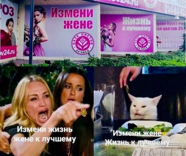 Среды картинки