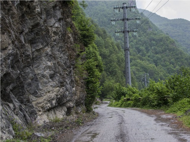 Абхазия (море), Армения (абрикосы)