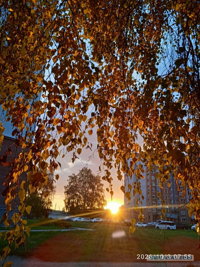 Все краски осени