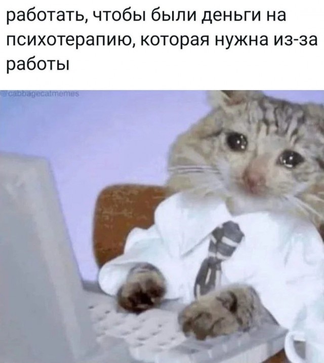 Психомемы-20