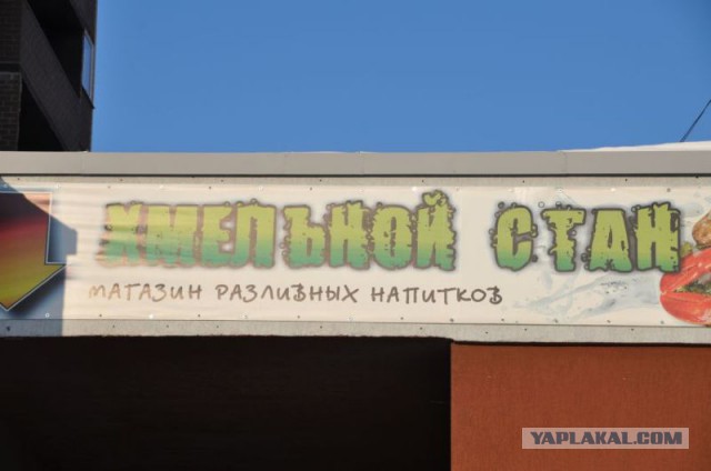 Синонимы слова "пиво" от тюменских креативщиков