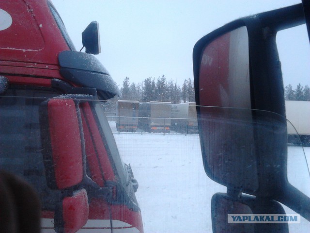 Где яблоки растут!