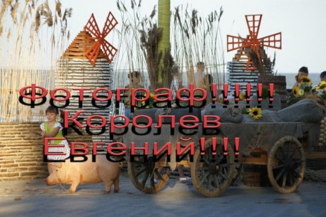 Великие творения свадебных фотографов.