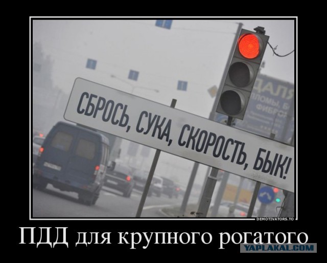 Наезд на женщину с детьми