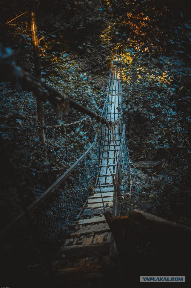 Фото хобби