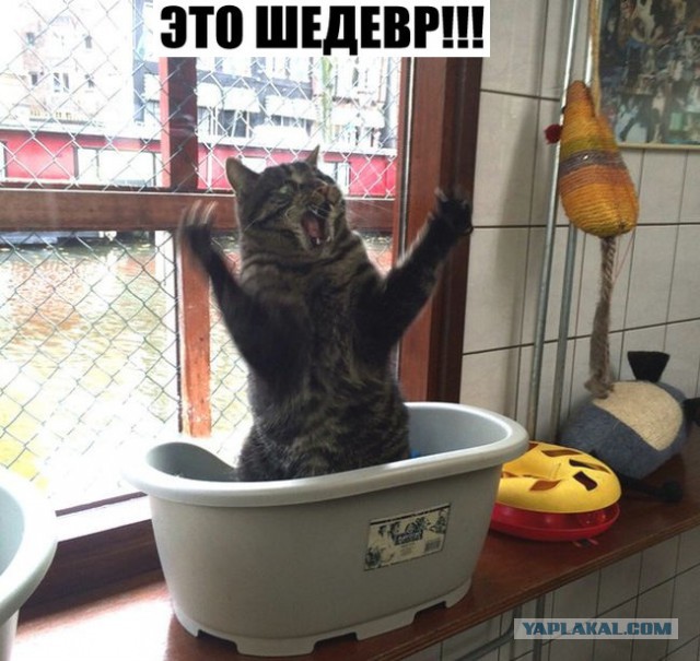 Пёс остался без обеда