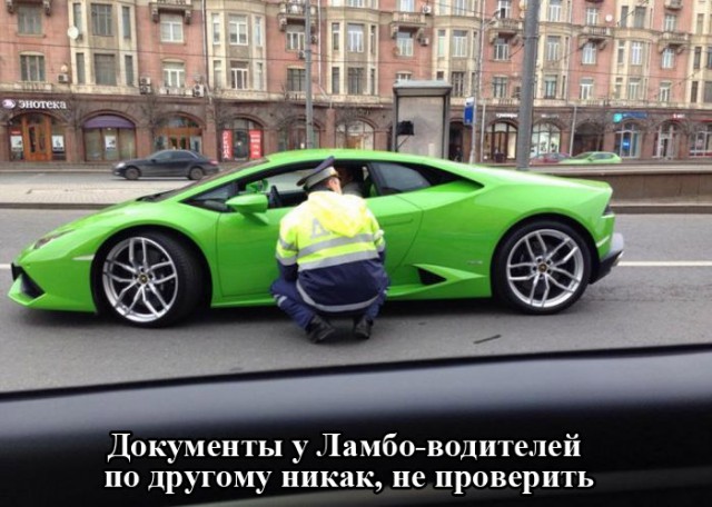 Прикольные картинки из сети