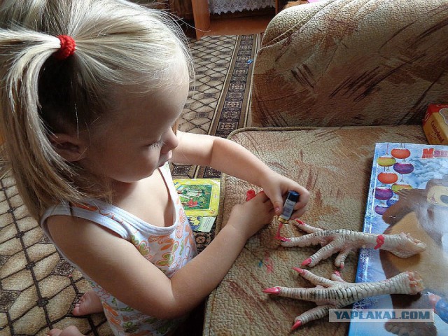 Сварил суп из куриных лапок и все обиделись