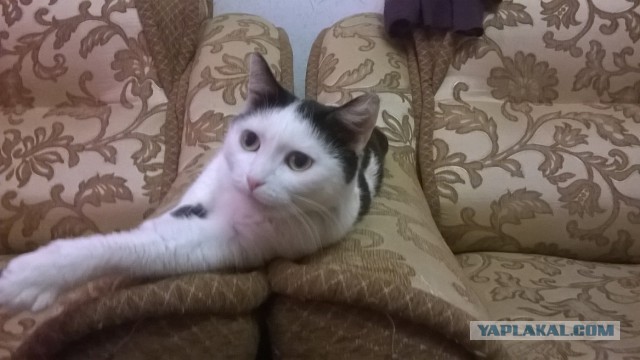 Те, которым мы помогли.