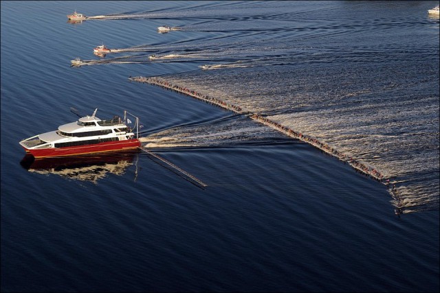 Картинки из сети