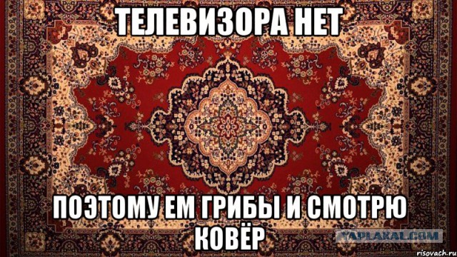 Доширак с грибами по домашнему