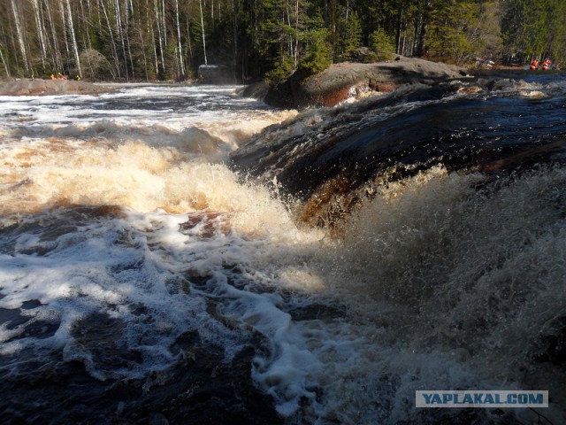 Река Уксунйоки (Укса). Карелия. Сплав по большой воде. Фотоотчет