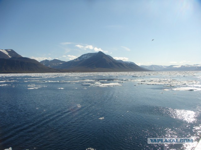 Шпицберген наш. Объясняю почему