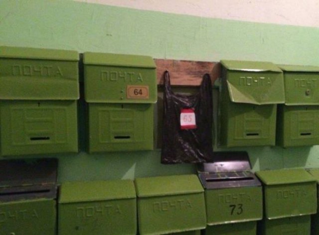 29 картинок