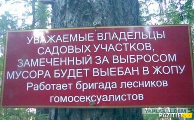 Подборка интересных и веселых картинок
