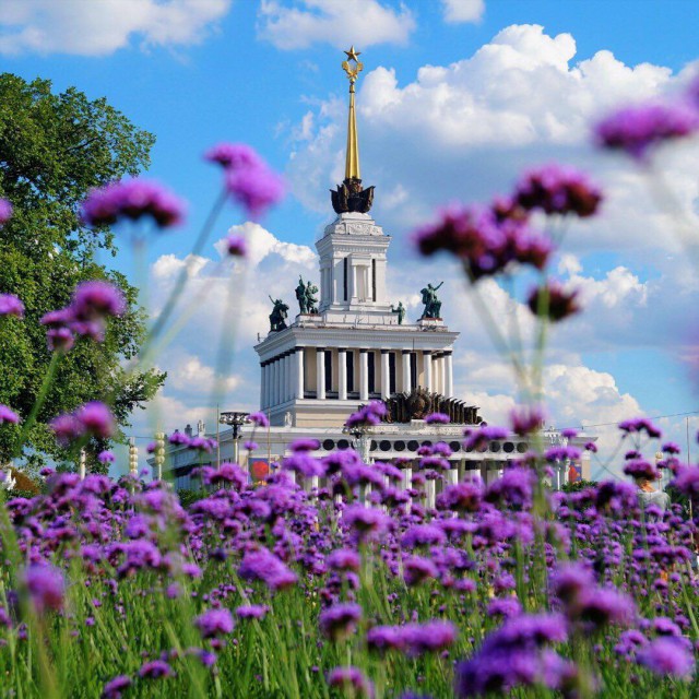 Всякие разные картинки
