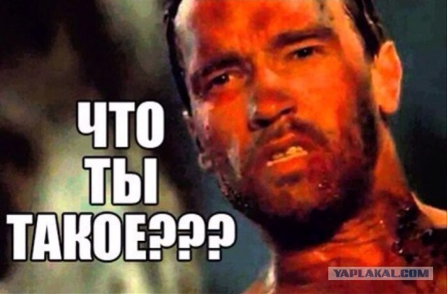 Страшно, жутко... ну просто ужасно "красивые"