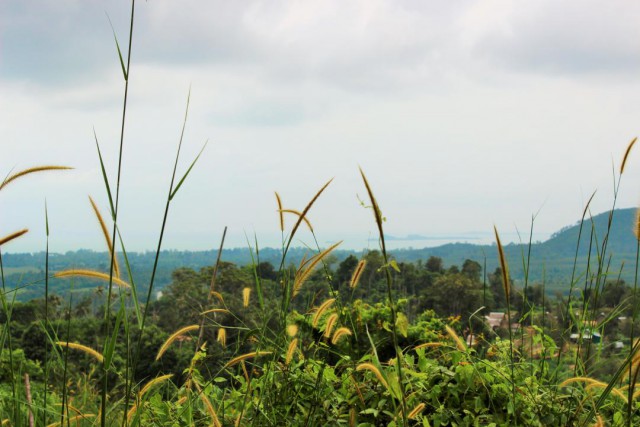 Полтора месяца безделья или "Первое семейное бюджетное путешествие"