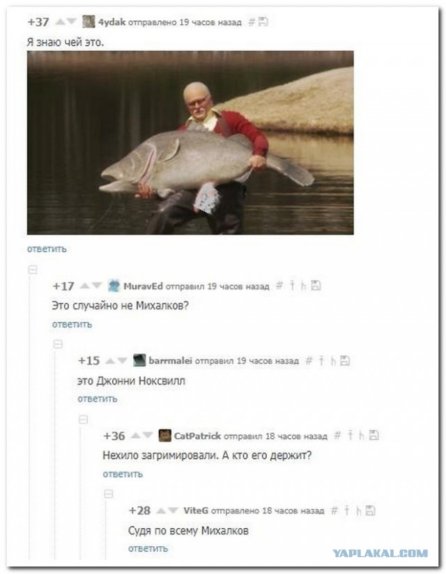 Подборка смешных комментариев из сети