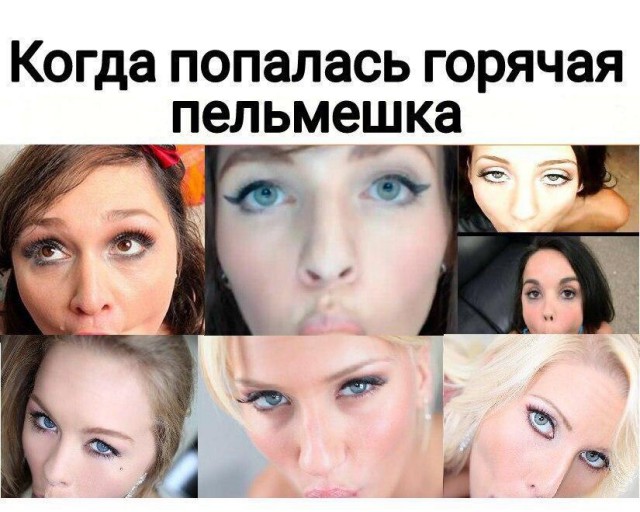 Скотсети и прочие интернеты 19.02.18