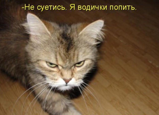 Итоги проверки пользователей