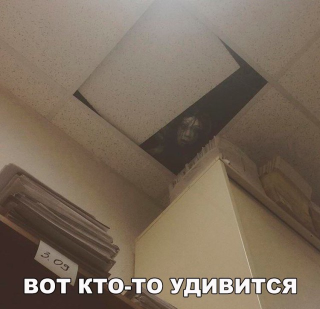Прикольные картинки обо всём