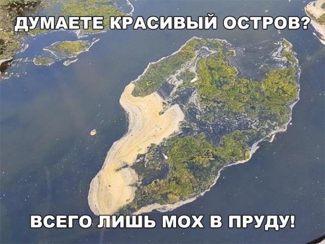 Нестандартный юмор