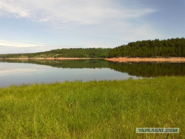Соскучился по рыбалке