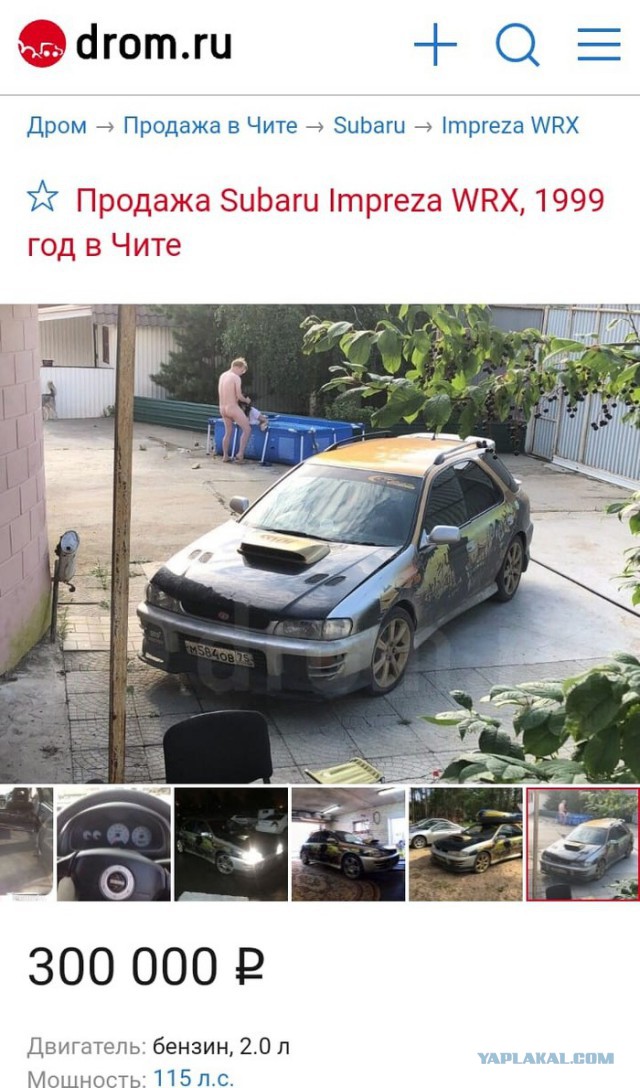 Скотсети и прочие интернеты 29.03.19