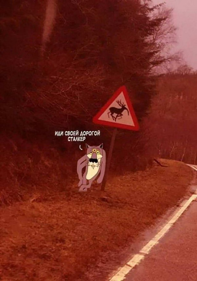 Пара-пара-пам! Фьють!