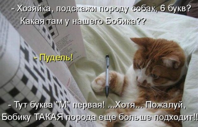 Немного картинок и демотиваторов с очень старого винта (часть 4)