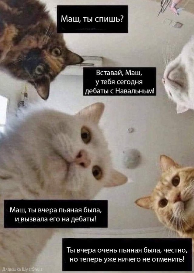 Мария Захарова - всё!