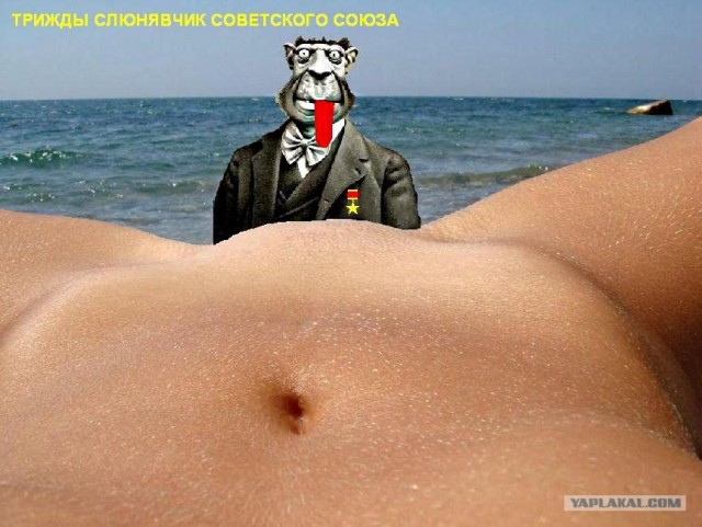 Ракушка и море