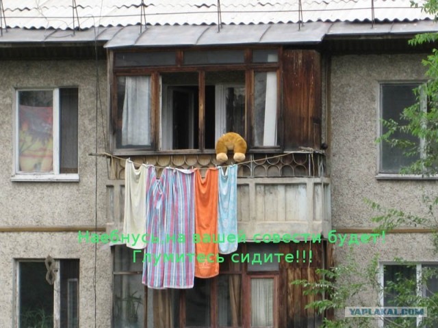 Конкурс: подпись к картинке