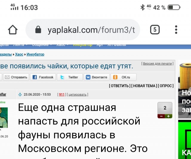 Адын на адын. Драка чеченцев и таджика