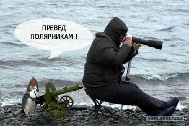 Внимательный фотограф