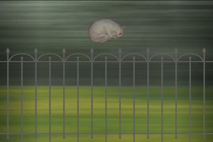 Котэ-креведко