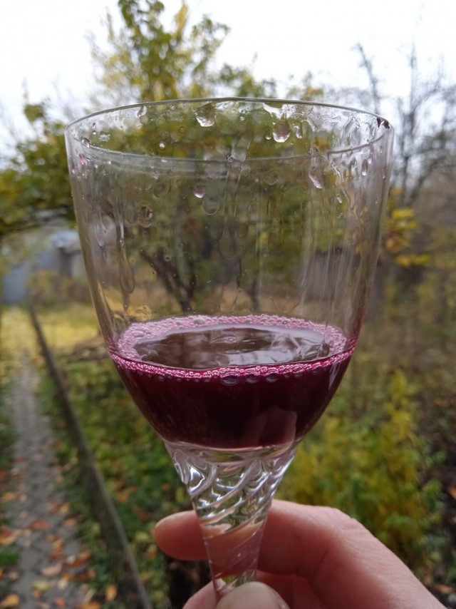 Вино. Виноделие. Молдова