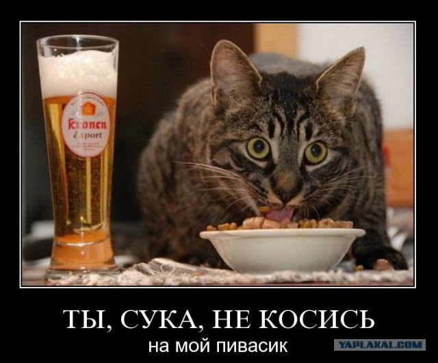Родители захавали сладости детей