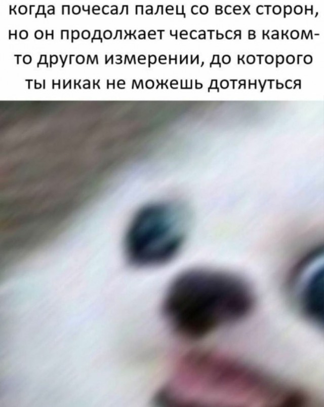 Так себе картинки 14.03.21