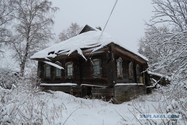 Заброшенные деревни Ярославской области. Как вымирает село без моста