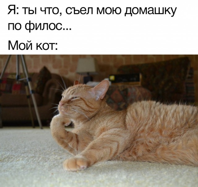 Весёлый полтишок 4.05