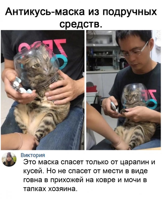 Так себе картинки 07.05.21